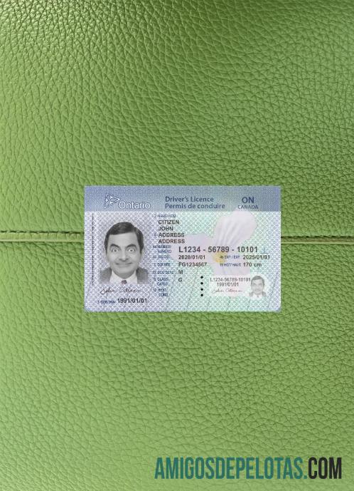 Canada Ontario DL (2018 – Presente) Versão 2 fotolook frente modelo